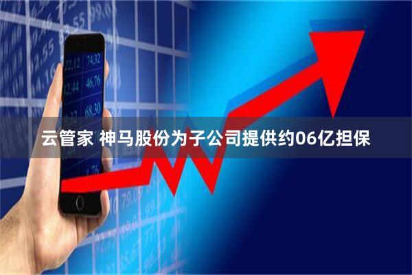 云管家 神马股份为子公司提供约06亿担保