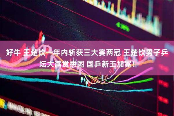 好牛 王楚钦一年内斩获三大赛两冠 王楚钦男子乒坛大满贯拼图 国乒新王加冕！